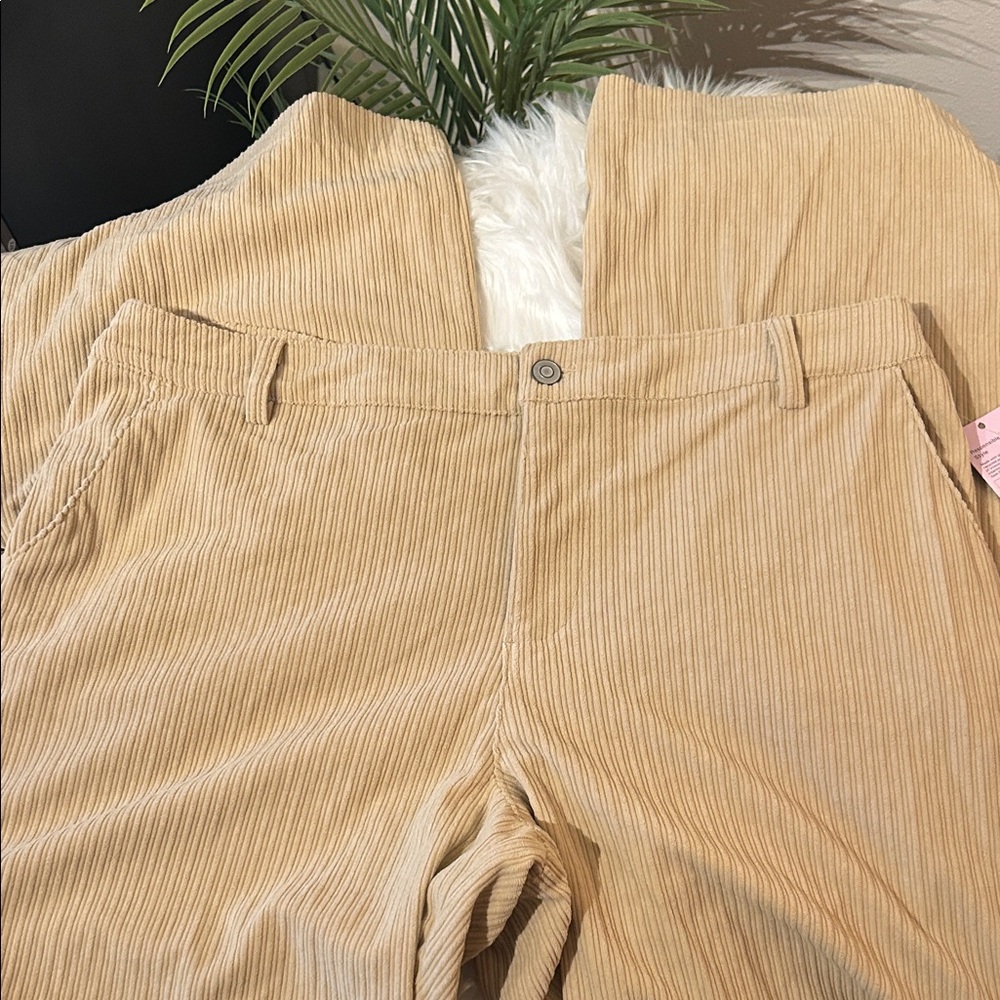 NWT Wild Fable Women's Corduroy Pants
